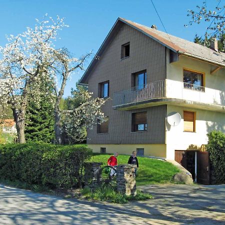 Haus Hollerbusch Daire Neunburg vorm Wald Dış mekan fotoğraf
