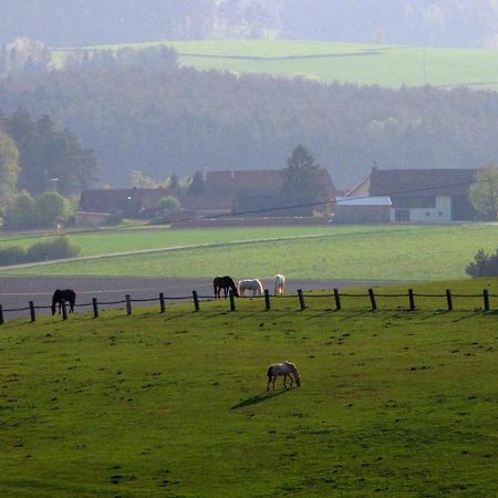 Haus Hollerbusch Daire Neunburg vorm Wald Dış mekan fotoğraf