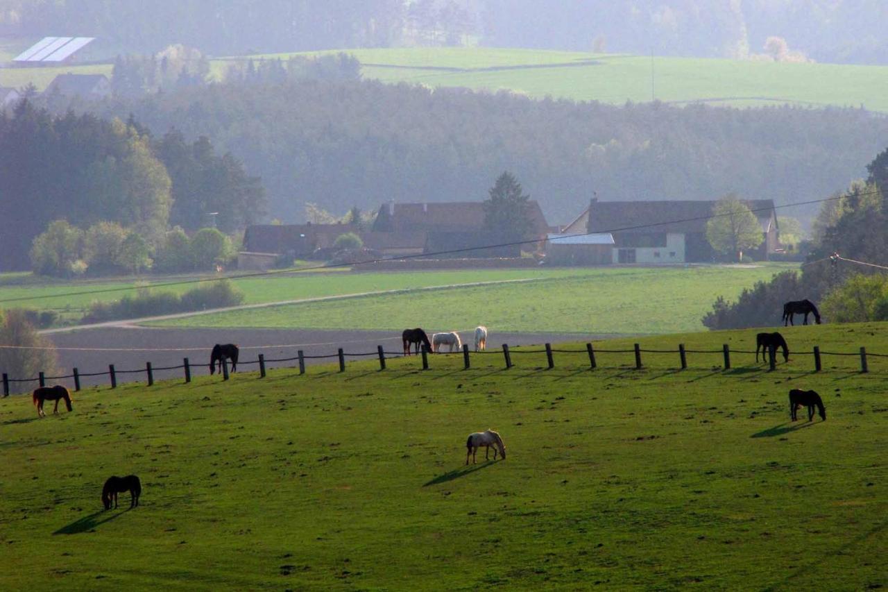 Haus Hollerbusch Daire Neunburg vorm Wald Dış mekan fotoğraf