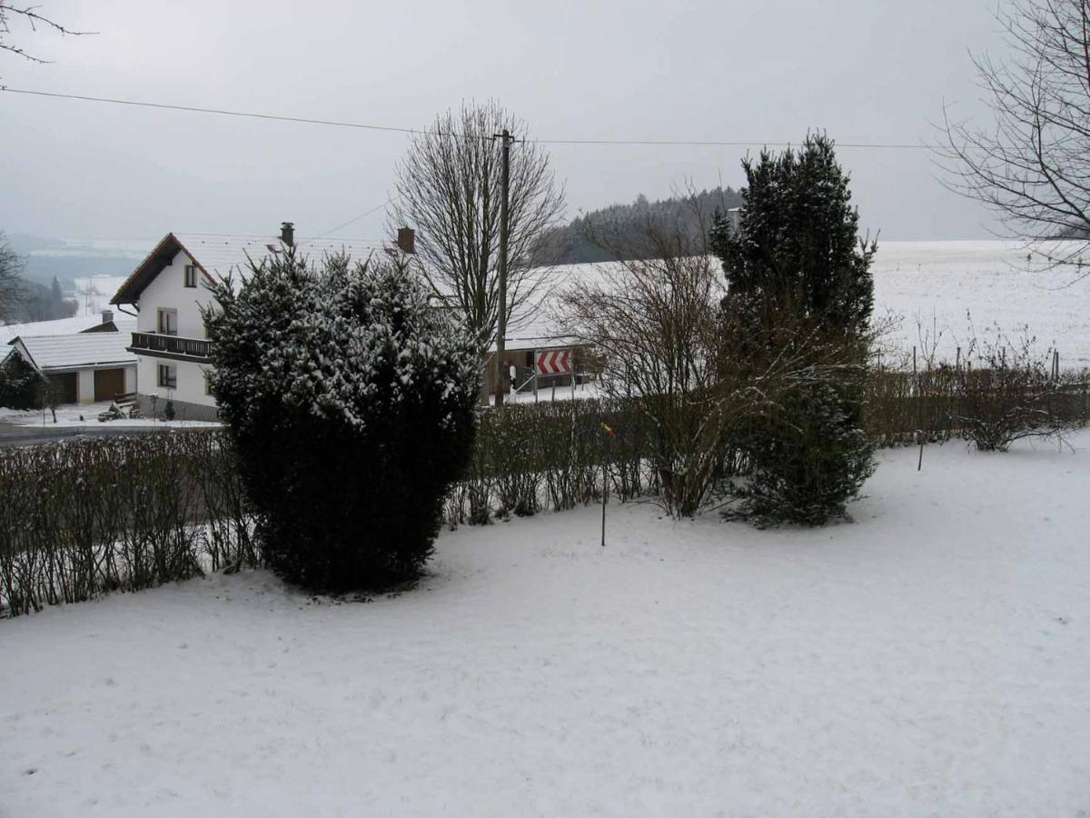 Haus Hollerbusch Daire Neunburg vorm Wald Dış mekan fotoğraf