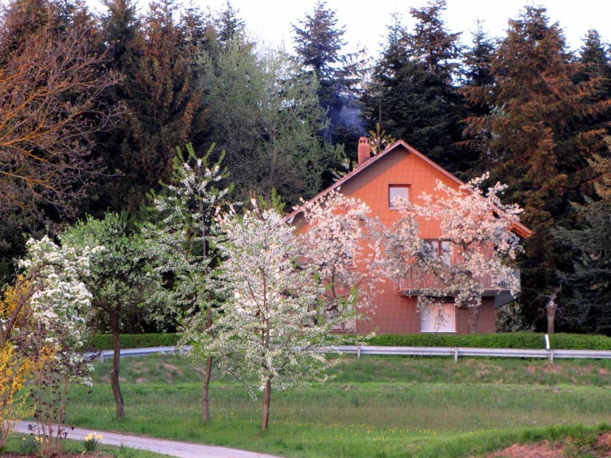 Haus Hollerbusch Daire Neunburg vorm Wald Dış mekan fotoğraf