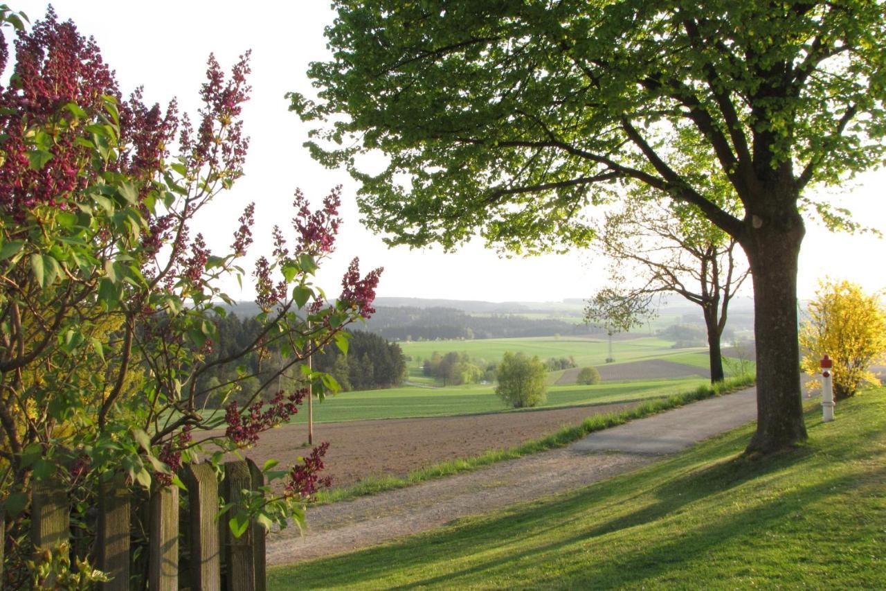 Haus Hollerbusch Daire Neunburg vorm Wald Dış mekan fotoğraf