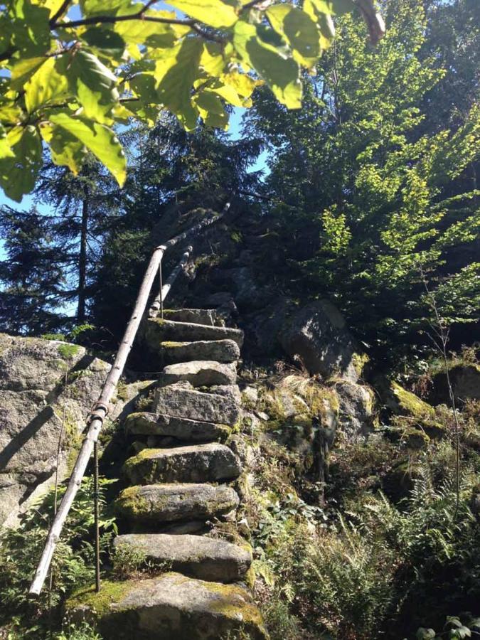 Haus Hollerbusch Daire Neunburg vorm Wald Dış mekan fotoğraf