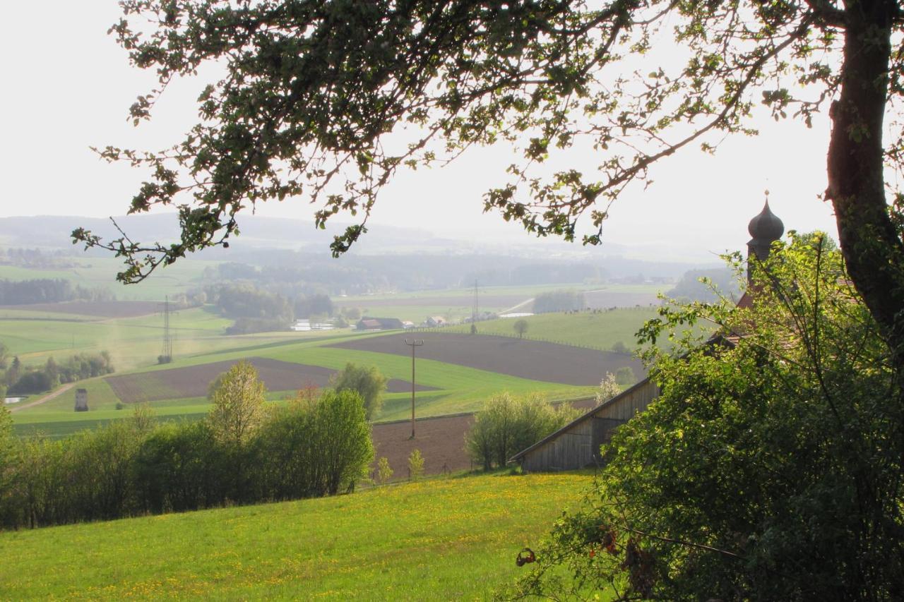 Haus Hollerbusch Daire Neunburg vorm Wald Dış mekan fotoğraf